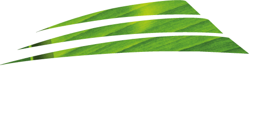 Logo Centro Chia Blanco y Verde